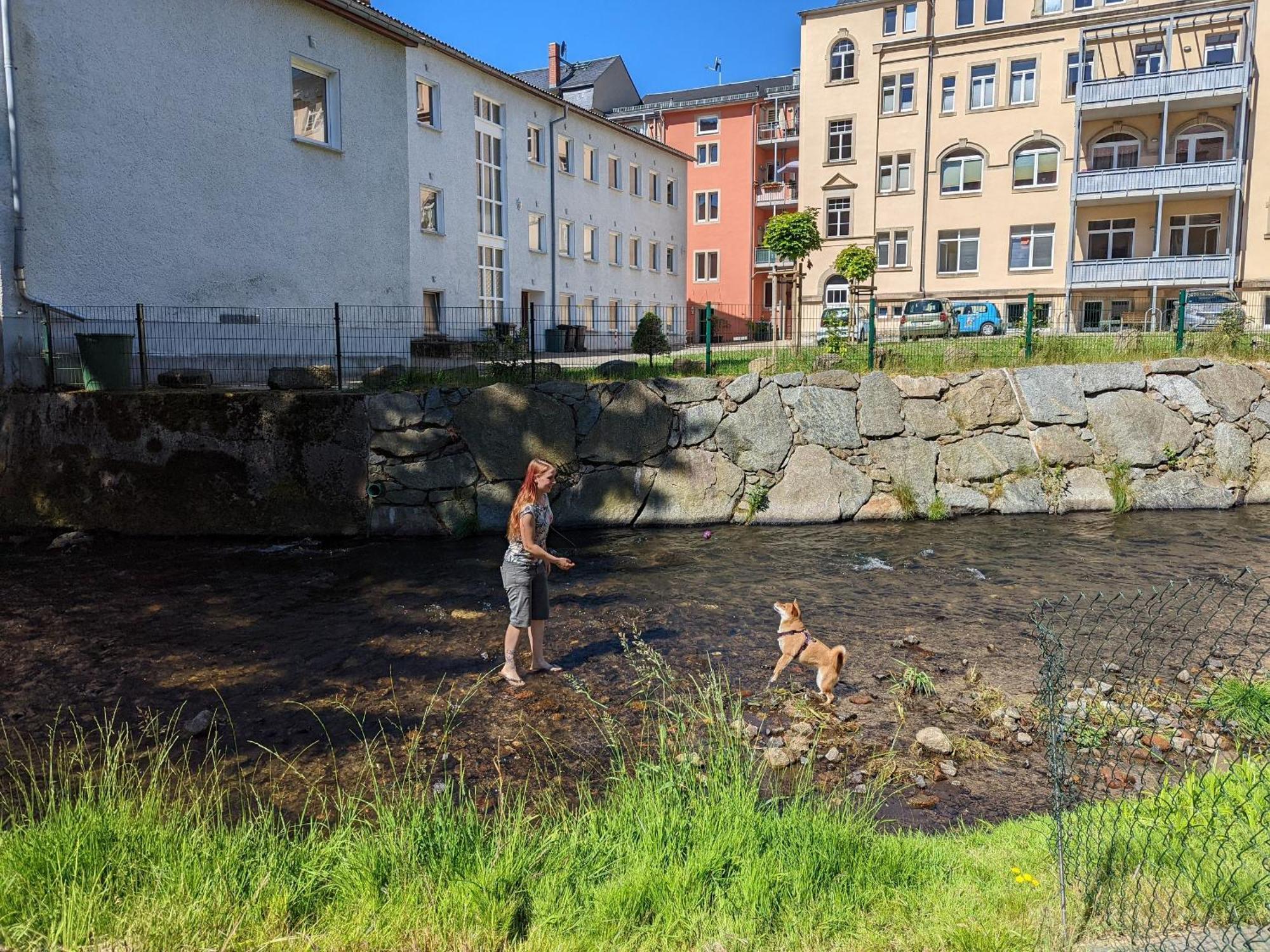 Ut - Urlaubsmagie - Urlaubstraum Mit Whirlpool, Pool & Sauna Sebnitz Dış mekan fotoğraf