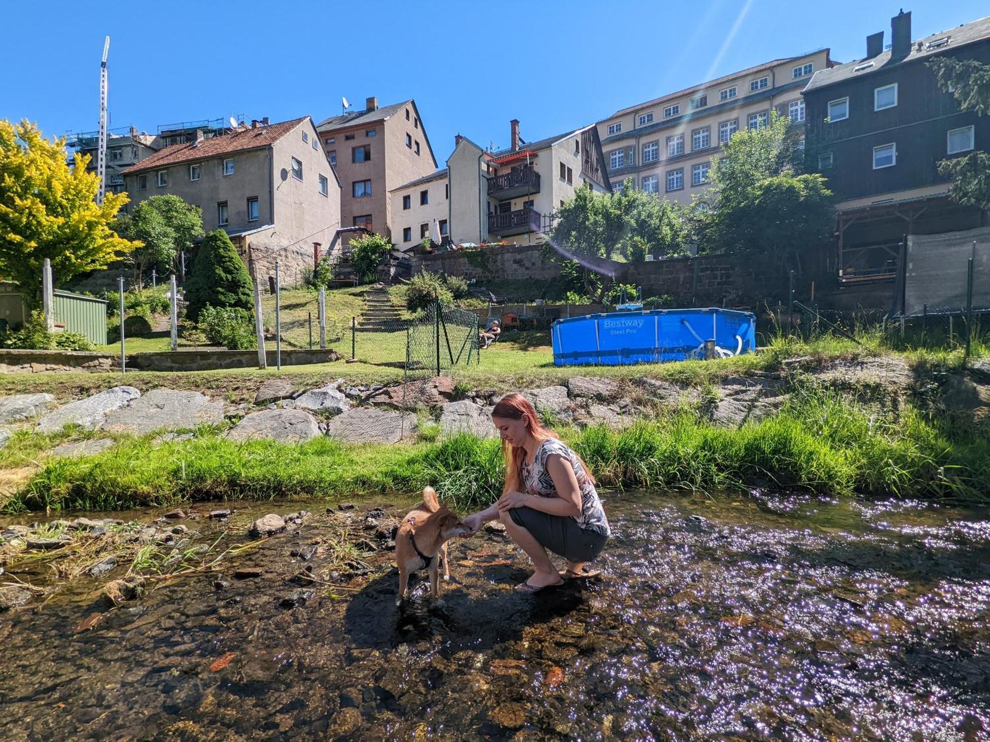 Ut - Urlaubsmagie - Urlaubstraum Mit Whirlpool, Pool & Sauna Sebnitz Dış mekan fotoğraf